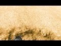 Dark Side - Halo 3 Machinima Short