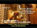 ocupacion extraterrestre en nuestro planeta(2-4)