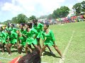 springer green house cheerleaders 2k8