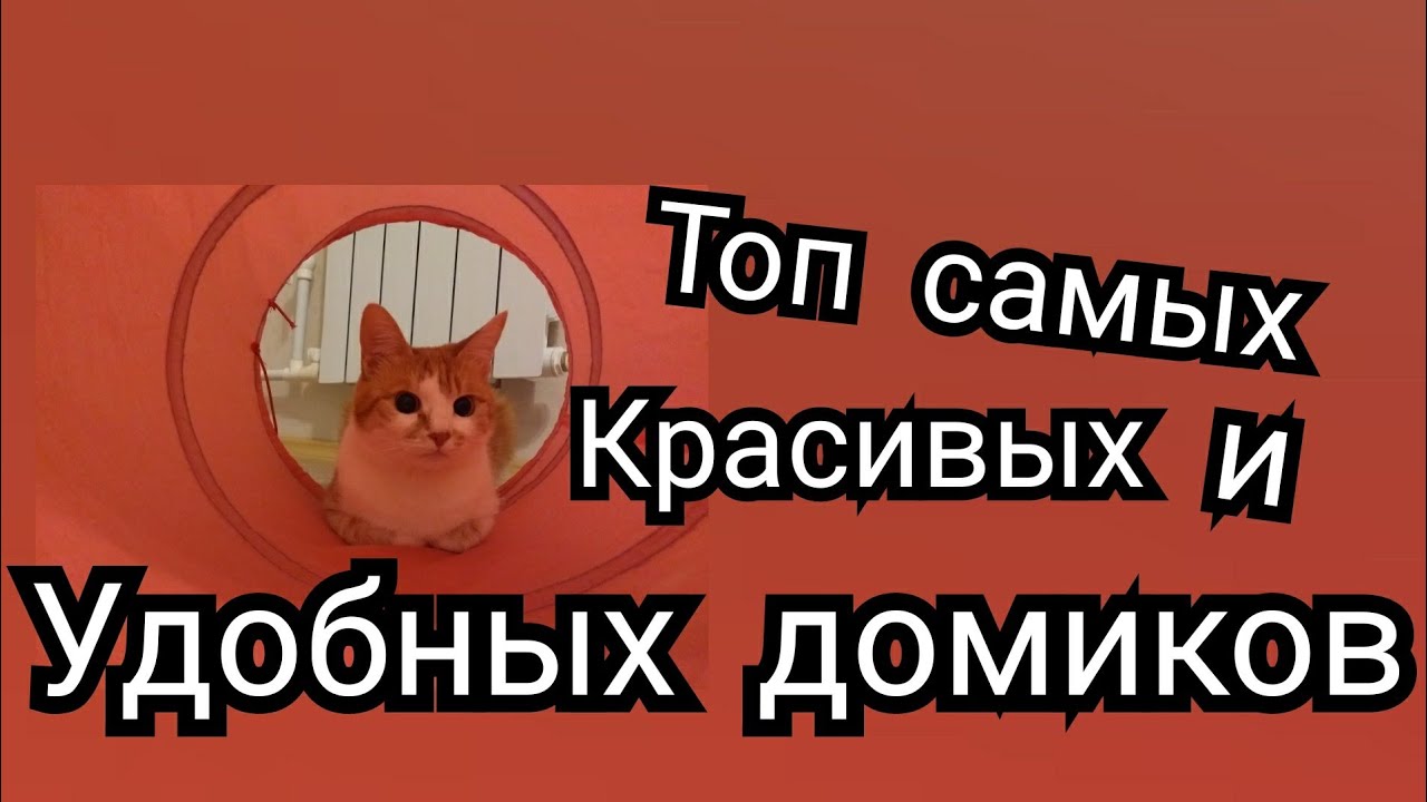 2020 ТОП САМЫХ КРАСИВЫХ И УДОБНЫХ ДОМИКОВ ДЛЯ ЖИВОТНЫХ. #Домики_для_кошек #Домики_для_собак