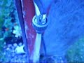 water tap