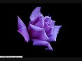 please subscribe