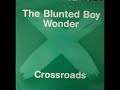The Blunted Boy Wonder - Metropolis