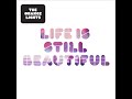 The Orange Lights - Life Is Still Beautiful (Alan Braxe Remix)