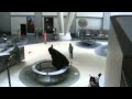 Hayden Planetarium
