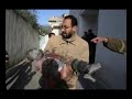 good Israel bad Israel good Israel bad Israel