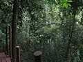 Semuc Champey