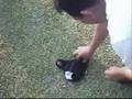 videos de Reencuentro Promo ISTPA