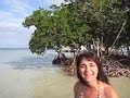 What can the Mangroves teach you about your business?