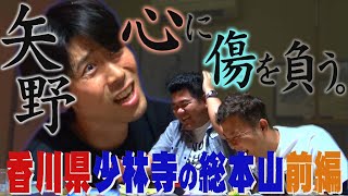 動画のサムネイル