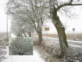 Rückblick 2007 Schnee von gestern Bornheim Bruchweiler-Bärenbach carly s slideshow auf youtube