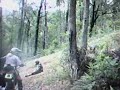 Yamaha WR250F Crash