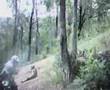 Yamaha WR250F Crash