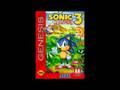 Sonic 3 The Doomsday Zone Music Request