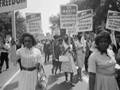 A Short Report on School Desegregation