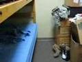 2-1 Infantry Ft Lewis Army Barracks 82nd Airborne Bragg