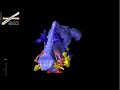 WitmerLab: Majungasaurus Endodocast - Yaw WitmerLab: Majungasaurus Endodocast - Yaw