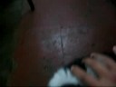gato y perro