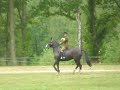 Aldershot Horse Show