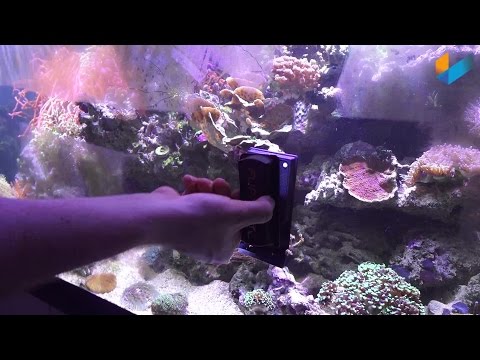 Flipper Magnet Scheibenreiniger Aquariumcleaner Klingenmagnet | Review | Meerwasser Live TV