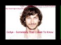 Gotye – Somebody That I Used To Know - Ringtone