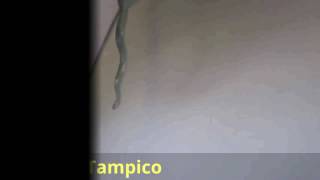 Serpiente a bordo en vuelo de Aeroméxico