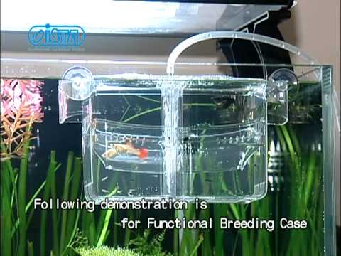 ISTA FUNCTIONAL BREEDING CASE (I-071) 24pcs/outer 