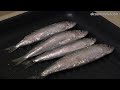EL COCINERO FIEL #321 ARROZ CREMOSO DE SARDINAS (EN SU CALDO)