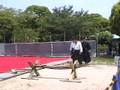 Yakumaru Jigen-ryu Demonstration I