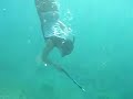 Spearfishin Dilis Spearfishin Dilis