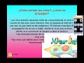 VIRUS antivirus y Seguridad