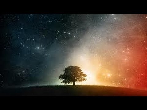 Haramein - DNA Fingerprint of God unseen forces science physics mysteries solved revealed mind over matter spirit world sound light universe history truth earth mysteri...