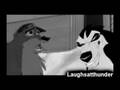 videos de Animash- Cells
