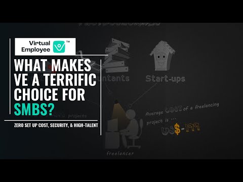 Virtual Employee Pvt. Ltd. YouTube Pitch Preview