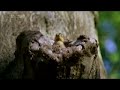 Still Fighting It (Cutest Video Ever) Still Fighting It (Cutest Video Ever)