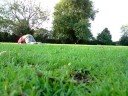 JiayoJames: GFA Afterthought JiayoJames: GFA Afterthought