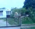 crazy dog komotini