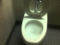 Ultra High Flow Toilet - flush, osu, toilet, water, funny