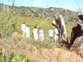 Wine Tasting at Bodega Antigua Casa de Guardia by Boris