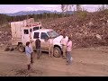 Young and New Worker Programs - Celtic Reforestation