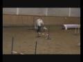 videos de 2008-11-29 Workshop LAK Margot en Skipper