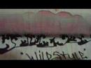 Black Book Graffiti (not updated)