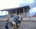periiquin