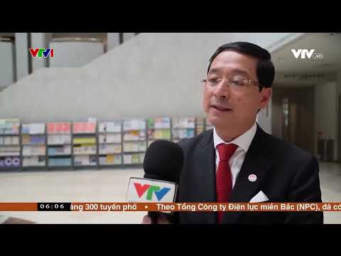 Kết nối công nghiệp hỗ trợ Việt Nam - Nhật Bản (VTV VN)