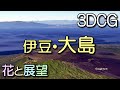 伊豆大島・三原山。裏砂漠から櫛形山と中央火口丘。花と展望