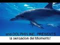 El Baile del Mono