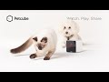 petites annonces.anibis.ch-rencontres