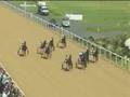 videos de RACE TWO, August 10, 2008. Dundalk Stadium Harness Racing