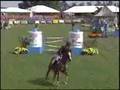 Winter Equestrian Festival