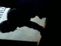 efectos  del  alcholismo